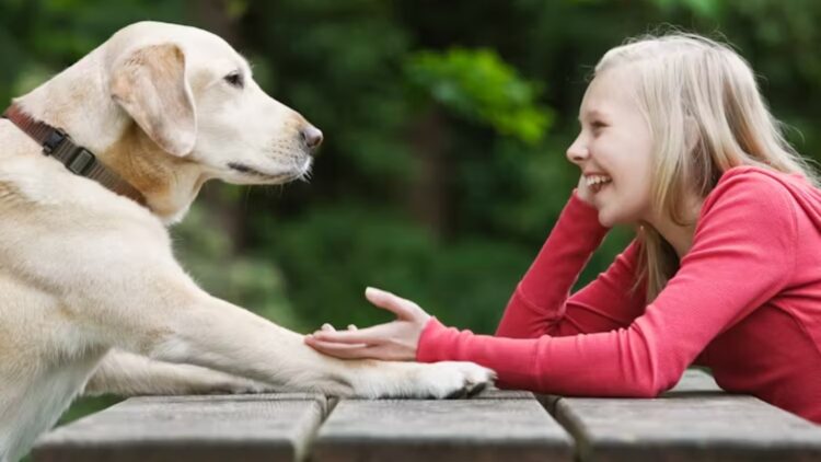 Talking to your dog or cat isn't crazy—psychology reveals what this gesture really means and why it could be a sign of empathy, emotional intelligence, and even creativity