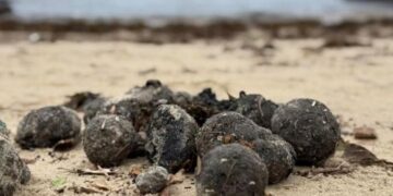 Mysterious black balls invade Australian beaches - scientists reveal their origin and confirm ‘ground zero’ of disaster