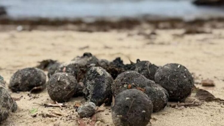 Mysterious black balls invade Australian beaches - scientists reveal their origin and confirm ‘ground zero’ of disaster