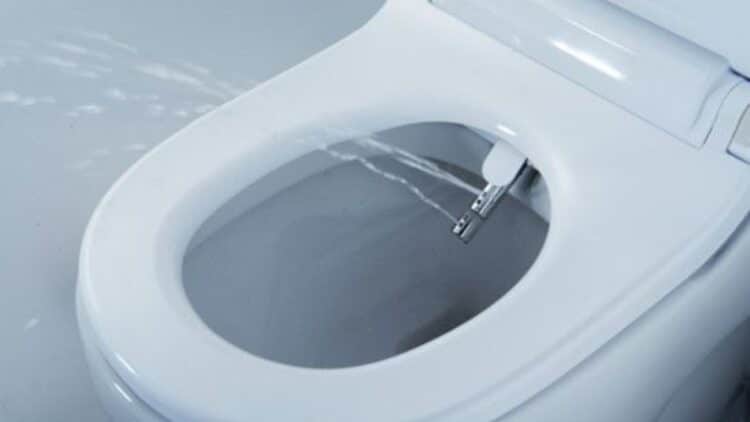 Farewell to toilet paper - more and more families are replacing toilet paper in their homes with this technology in search of greater hygiene and sustainability