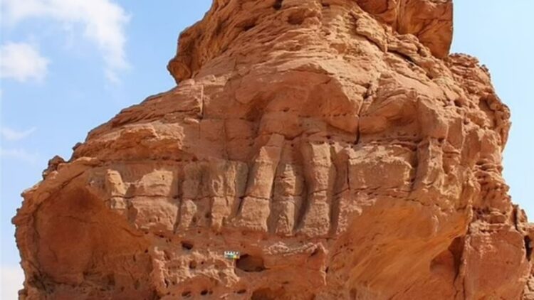 Farewell to the mystery of the desert - 12,000-year-old rock art that guided ancient people to water discovered in Arabia