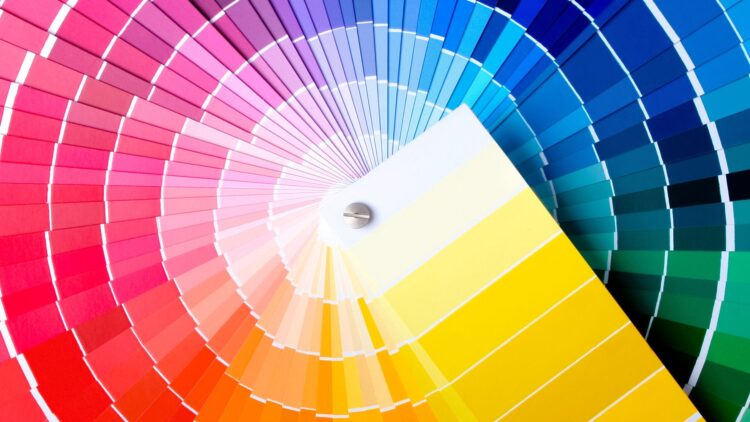 Confirmed—the favorite colors of the brightest minds are not what you might think