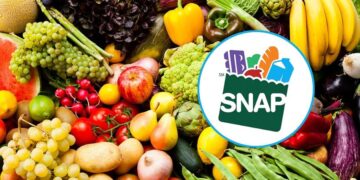 It's official—the U.S. Department of Agriculture is imposing new work rules for receiving SNAP coupons—millions could lose assistance starting in November