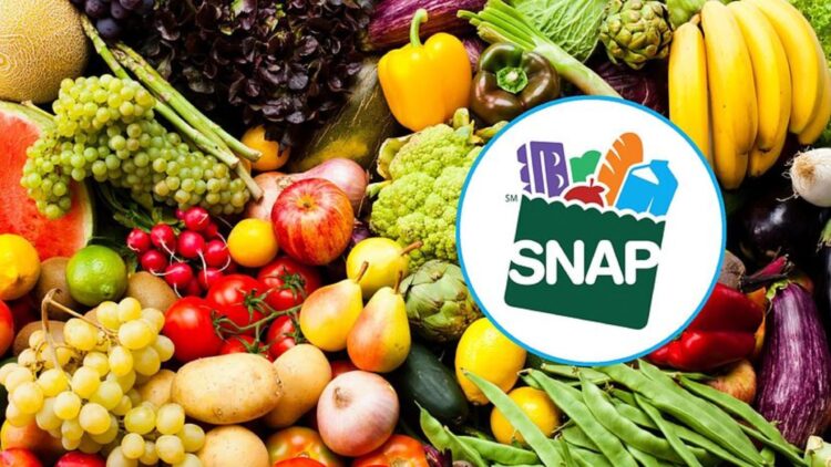 It's official—the U.S. Department of Agriculture is imposing new work rules for receiving SNAP coupons—millions could lose assistance starting in November