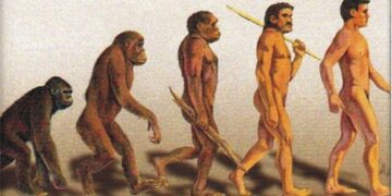 Confirmed by scientists—discovery that early Homo sapiens lived in tropical rainforests 150,000 years ago