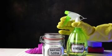 They do it in hotels—the homemade trick with just one ingredient that leaves your toilet as white as one in a luxury hotel