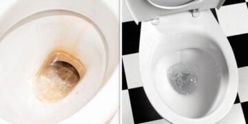 María Fernández, cleaning expert—“To remove limescale from the toilet, line the rim with kitchen paper and soak it with vinegar”