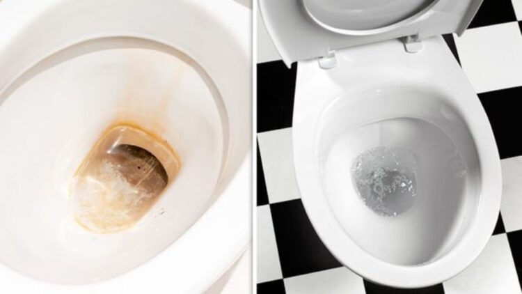 María Fernández, cleaning expert—“To remove limescale from the toilet, line the rim with kitchen paper and soak it with vinegar”