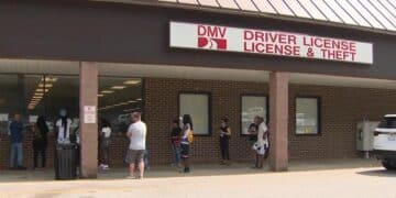 It's official—North Carolina will allow driver's license renewals to be completed entirely online—here are the new requirements