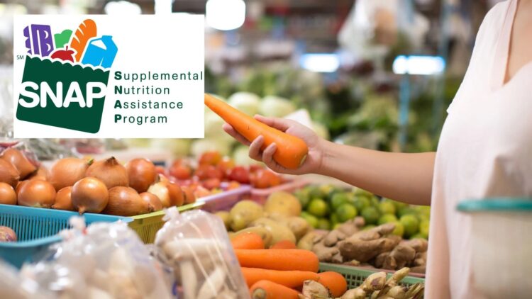 It's official - the complete SNAP payment schedule for November 2025 - see when you will receive your benefits