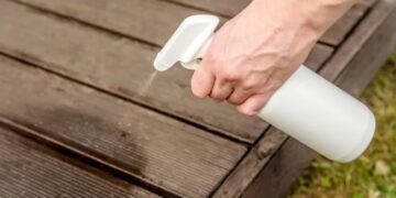 No insecticides or traps—this trick with white vinegar is the safest method to keep your home free of spiders