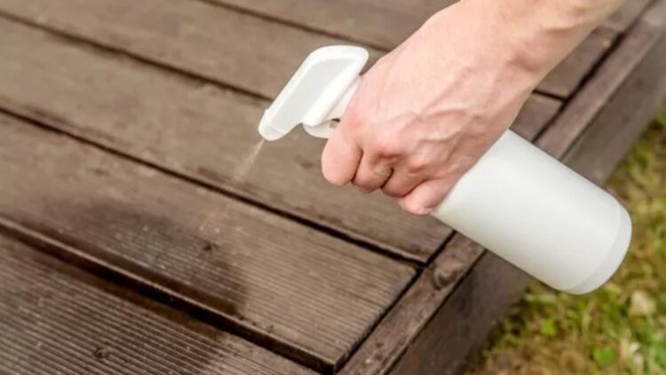 No insecticides or traps—this trick with white vinegar is the safest method to keep your home free of spiders 1 No insecticides or traps—this trick with white vinegar is the safest method to keep your home free of spiders