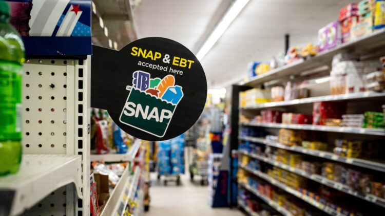 Trump administration official confirms - All SNAP recipients must reapply for SNAP because of this - how it affects you