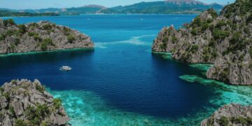 The “Amazon of the ocean”—that's how the coral triangle is described, home to 75% of all marine species on the planet