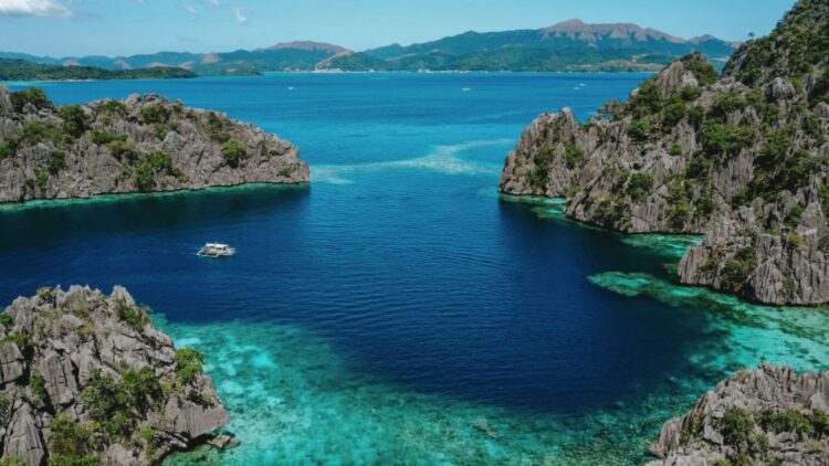 The “Amazon of the ocean”—that's how the coral triangle is described, home to 75% of all marine species on the planet