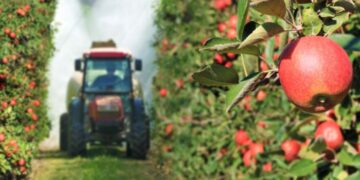 Confirmed—this fruit is once again among the most pesticide-contaminated foods in the US in 2025