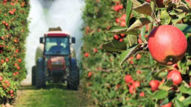 Confirmed—this fruit is once again among the most pesticide-contaminated foods in the US in 2025