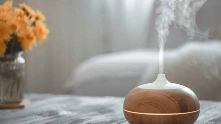 It's official - experts confirm that a home humidifier helps reduce the spread of colds and protects your tropical plants 1 It's official - experts confirm that a home humidifier helps reduce the spread of colds and protects your tropical plants