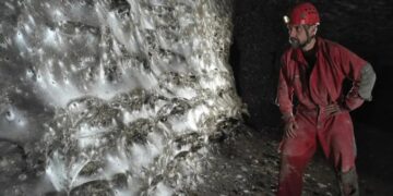 Scientists in Europe find the world's largest spider web ever seen -106 square meters - the image makes your hair stand on end