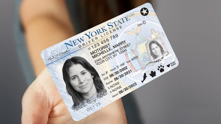 Confirmed—New York eliminates the $30 fee for obtaining an Enhanced Driver's License (EDL)