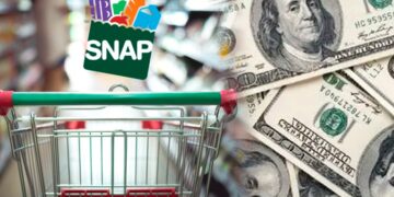 USDA confirms new SNAP requirements—how it will affect adults without children who rely on food stamps