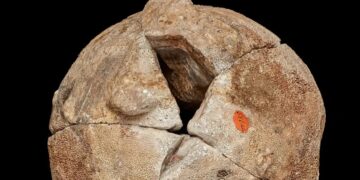 Confirmed by the Geological Museum of Brazil - the spectacular “dinosaur egg” agate reveals internal patterns that are impossible to reproduce