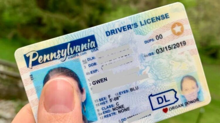 Goodbye to driver's licenses for those who do not meet the new requirement - The US will activate a law that will block the process for all ages without presenting the required information 1 Goodbye to driver's licenses for those who do not meet the new requirement - The US will activate a law that will block the process for all ages without presenting the required information