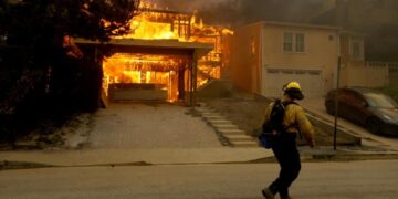 Goodbye to traditional backyards in California—the new “Zone Zero” law requires the removal of flammable vegetation near homes