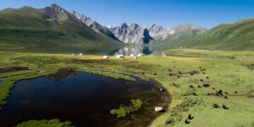 Scientifically confirmed—accelerated evapotranspiration in reforested areas changes what you thought about the water impact of China's “Great Green Wall”