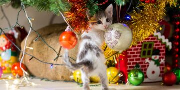 No repellent sprays or punishments—the real technique that works to keep cats away from Christmas trees, according to feline specialists