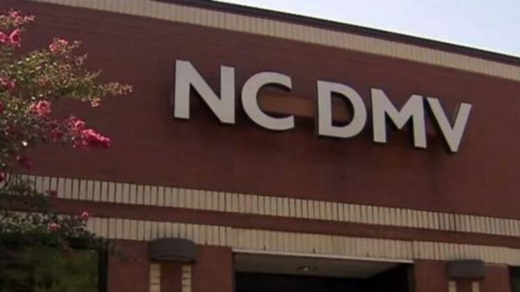 It's official—the new DMV measure that allows you to continue driving with your expired license without having to renew it—here's how it affects you 1 It's official—the new DMV measure that allows you to continue driving with your expired license without having to renew it—here's how it affects you