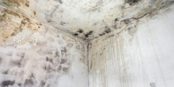 Say goodbye to damp in your home forever - Máximo Caballero, specialist architect, reveals the aluminum foil trick that changes everything