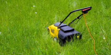 No wild gardens or urban neglect—this is the debate sparked by Michigan's new lawn law