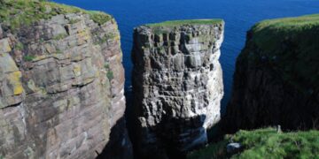 Good news for those seeking a unique experience—they pay $30,000 to work on a deserted island, and here are the details