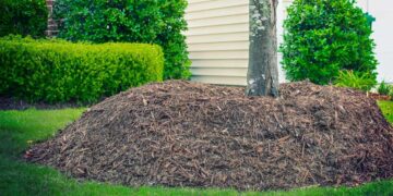 Goodbye to this dangerous gardening trend—an expert warns that the viral trend could destroy your plants without you even realizing it