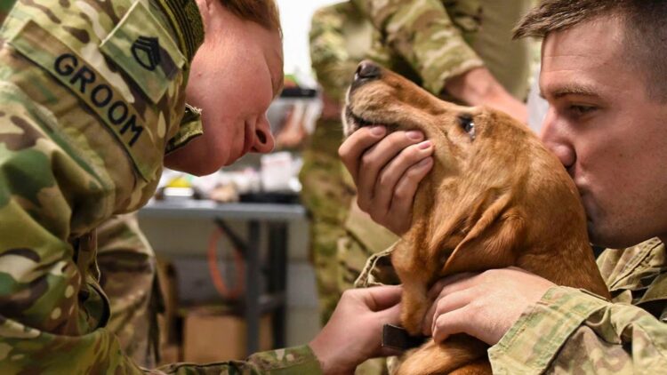 180-degree turn in the US military - eliminates the use of live animals in maneuvers and adopts technological methods after an unprecedented reform 1 180-degree turn in the US military - eliminates the use of live animals in maneuvers and adopts technological methods after an unprecedented reform