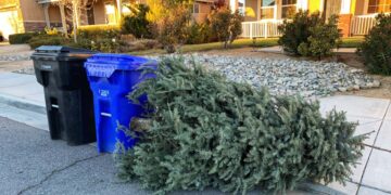 It's official—several states in the United States prohibit disposing of Christmas trees as regular trash, and there are serious penalties