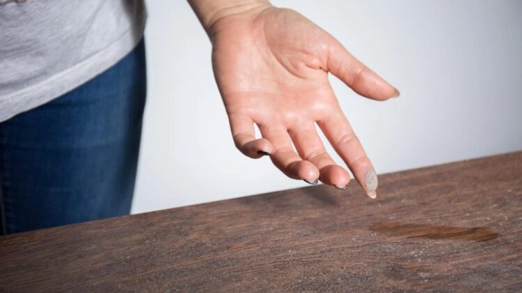 It's official—experts at Molly Maid explain why your house is always dusty and how it affects your health 1 It's official—experts at Molly Maid explain why your house is always dusty and how it affects your health