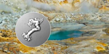 180-degree turn in science - researchers confirm life in an impossible place and the discovery shocks the international scientific community