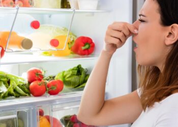 Say goodbye to storing everything randomly in the refrigerator—expert Montse Meléndez explains how to organize your refrigerator and stop dangerous bacteria 4 Say goodbye to storing everything randomly in the refrigerator—expert Montse Meléndez explains how to organize your refrigerator and stop dangerous bacteria