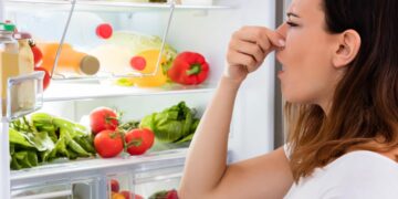 Say goodbye to storing everything randomly in the refrigerator—expert Montse Meléndez explains how to organize your refrigerator and stop dangerous bacteria 34 Say goodbye to storing everything randomly in the refrigerator—expert Montse Meléndez explains how to organize your refrigerator and stop dangerous bacteria