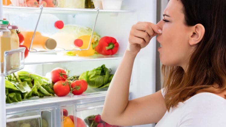 Say goodbye to storing everything randomly in the refrigerator—expert Montse Meléndez explains how to organize your refrigerator and stop dangerous bacteria