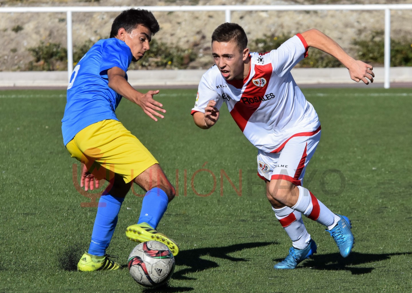 37888806954 6778846f56 o