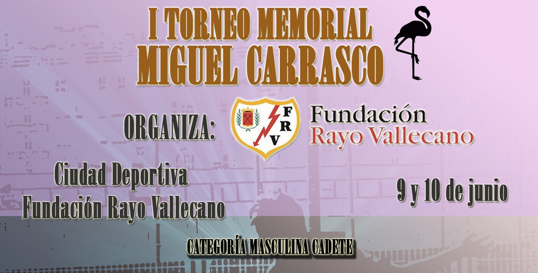 Fundación Rayo Vallecano