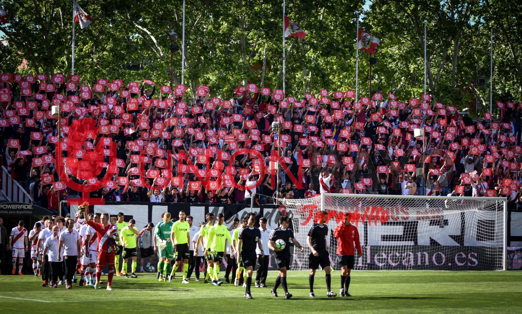 42067326552 0166bac849 o