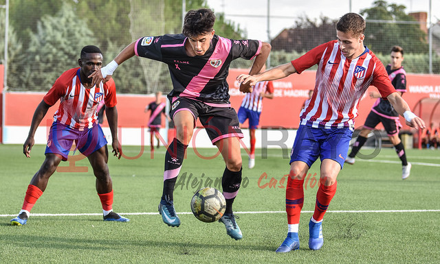 44099048404 860b08460c z