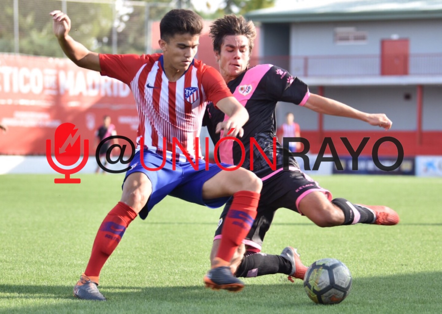 B2D5FF41 D904 43E6 A13F 54C456240D6E