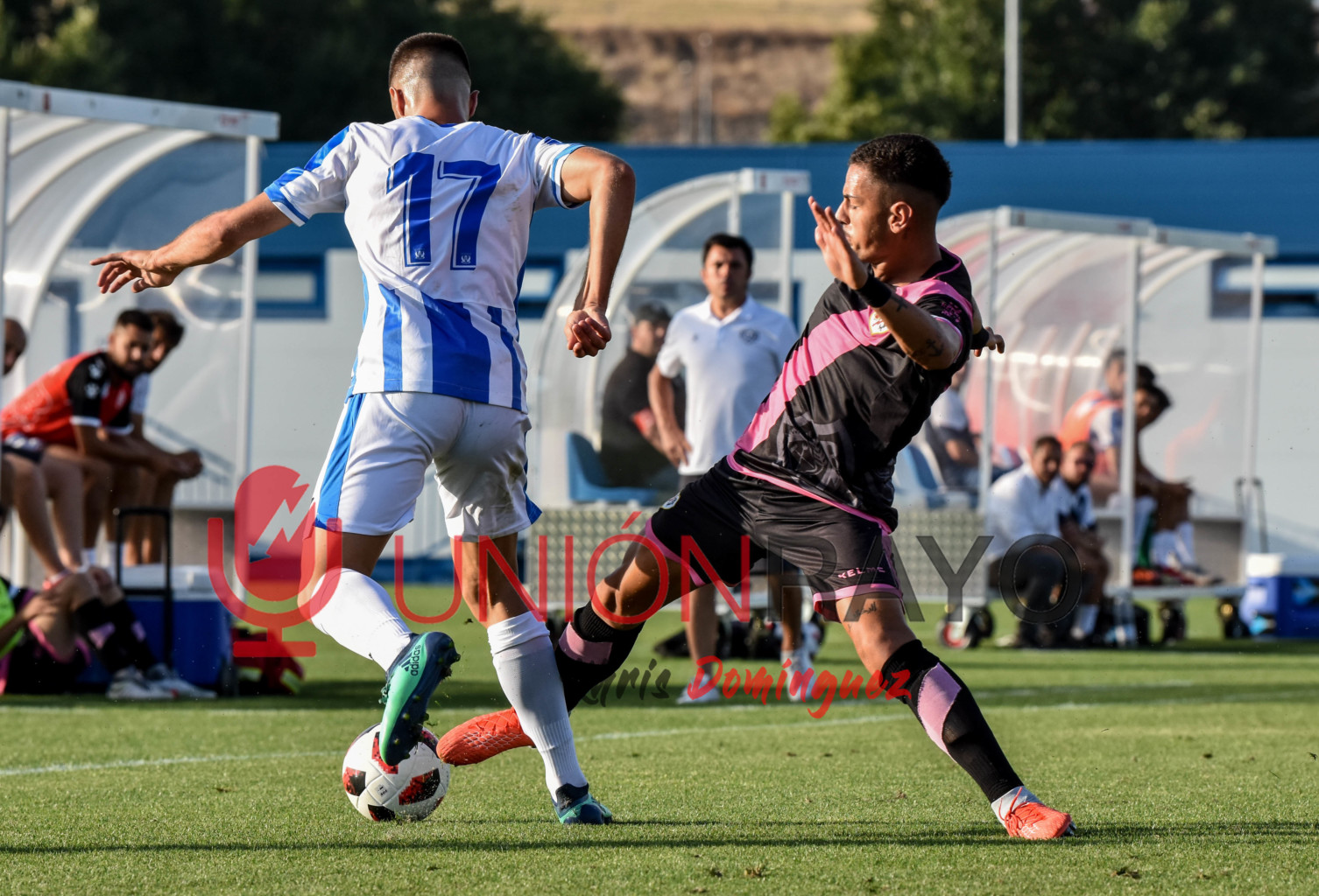 Galería fotográfica Rayo B