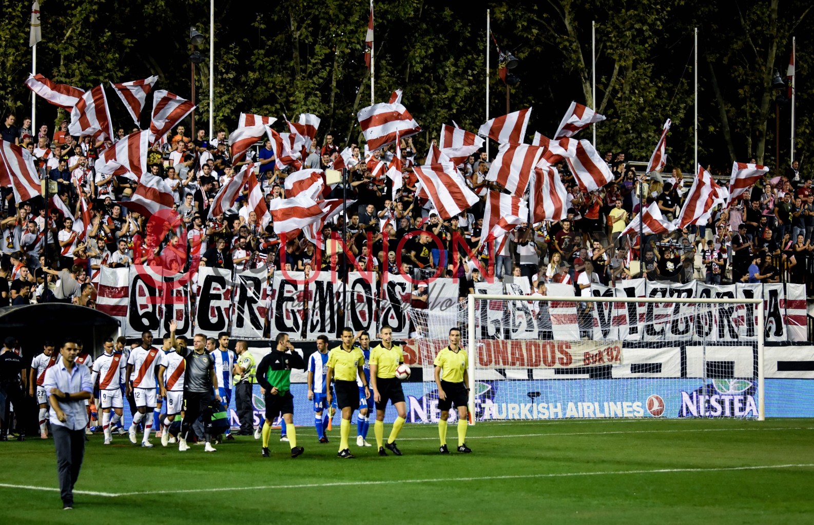 45025757931 91344085f9 o