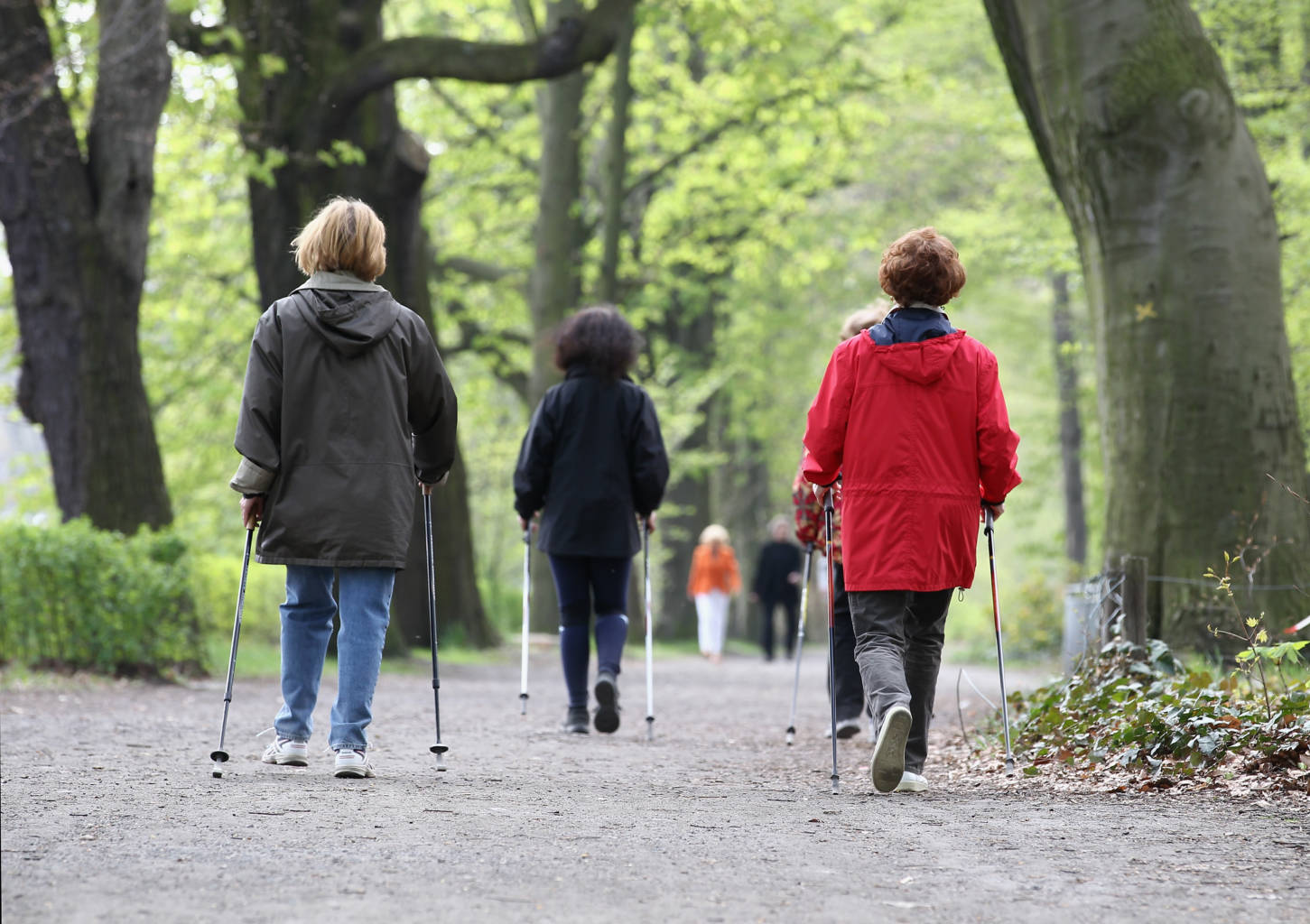 BERLIN - APRIL 19:  Nordic walkers are pictured in a park on April 19, 2010 in Berlin, Germany. Nordic walking is defined as walking with specially designed poles. Nordic walking is the fastest growing fitness activity in the world and is used by individuals, personal trainers, health clubs, physiotherapists, doctors and health promoters because it is highly effective.   (Photo by Andreas Rentz/Getty Images)